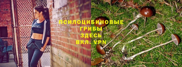 стаф Алексин